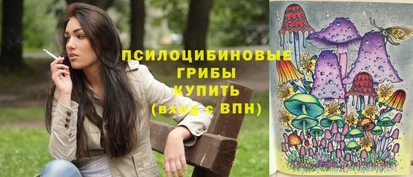 марки nbome Бородино