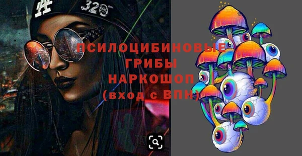 герыч Бронницы